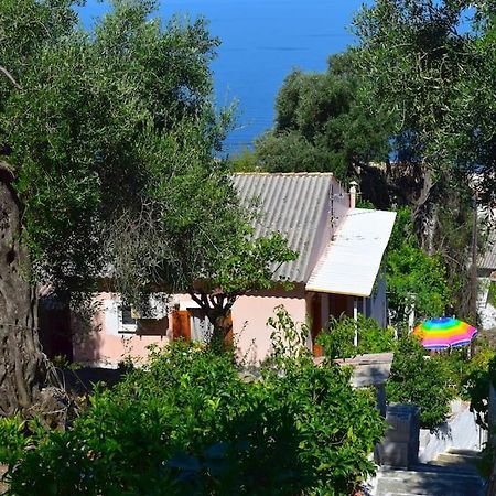 Kiki'S Beautiful House On Famous Village Pendátio Kültér fotó