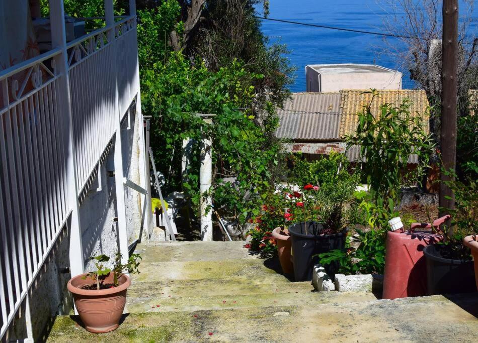 Kiki'S Beautiful House On Famous Village Pendátio Kültér fotó